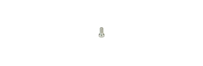 Screw for flange M6 × 12 mm