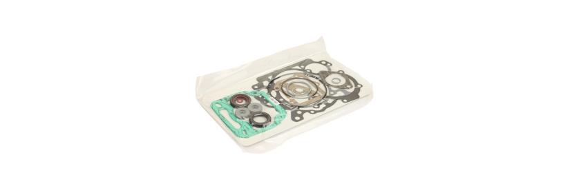 Engine gasket set (296160)