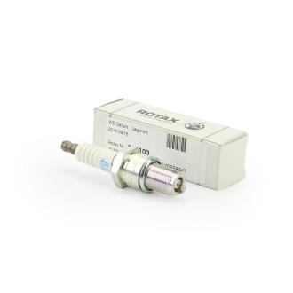 Spark plug NGK (298102 and 298103)