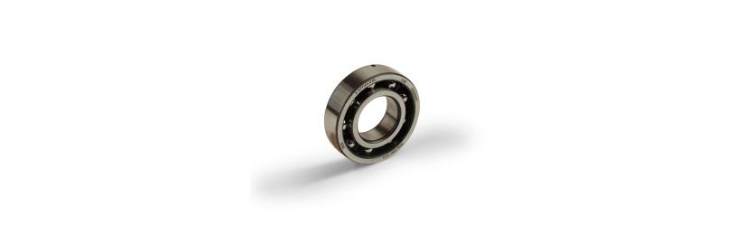 Bearing 6206 TVH C4 XX (832583)