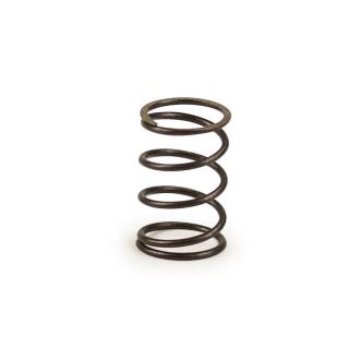 Valve spring