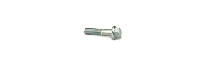 Screw M8 × 25 mm
