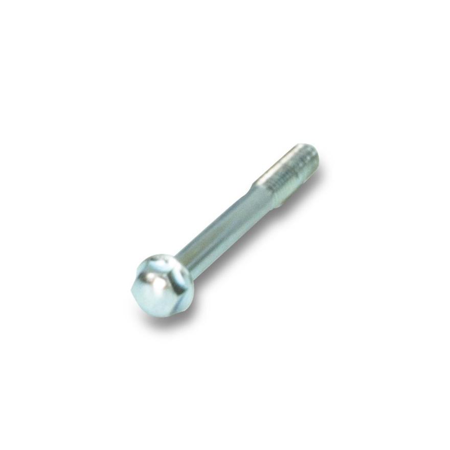 Screw Zyl.-head M10 × 80 mm