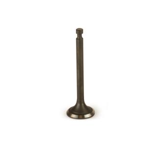 Intake valve