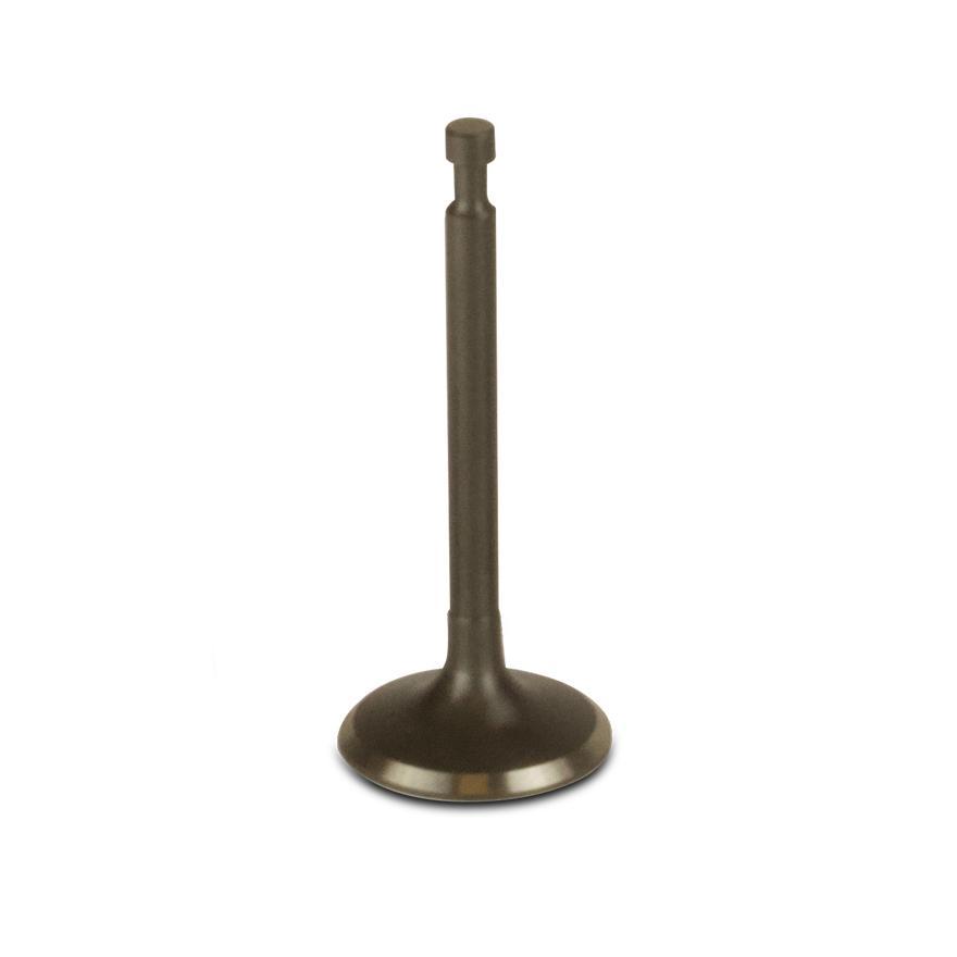 Exhaust valve