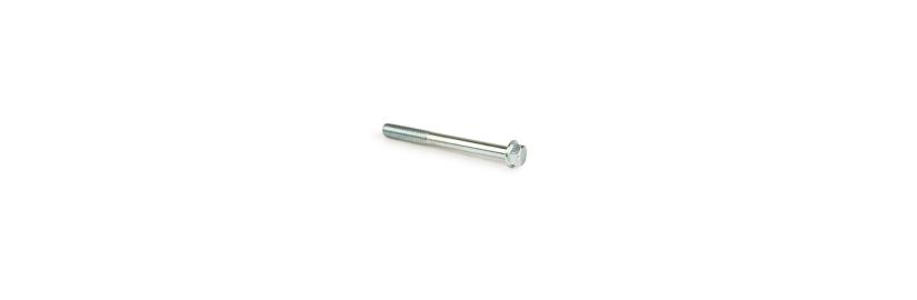 Flanged Bolt 6 × 55 mm