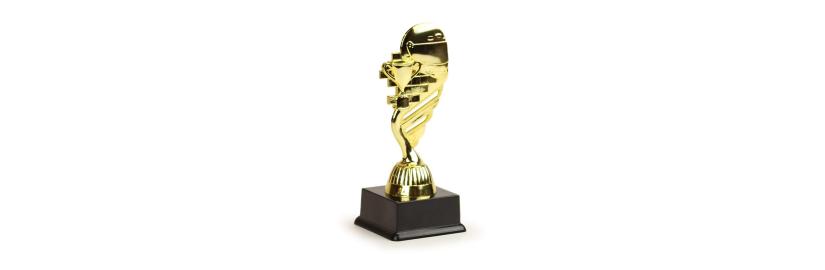 Trophy helmet
