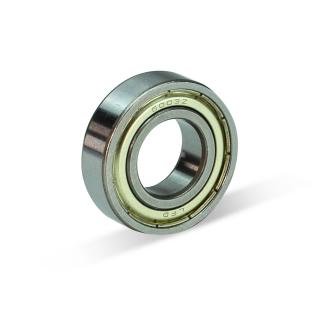Lager 6003 ZZ
