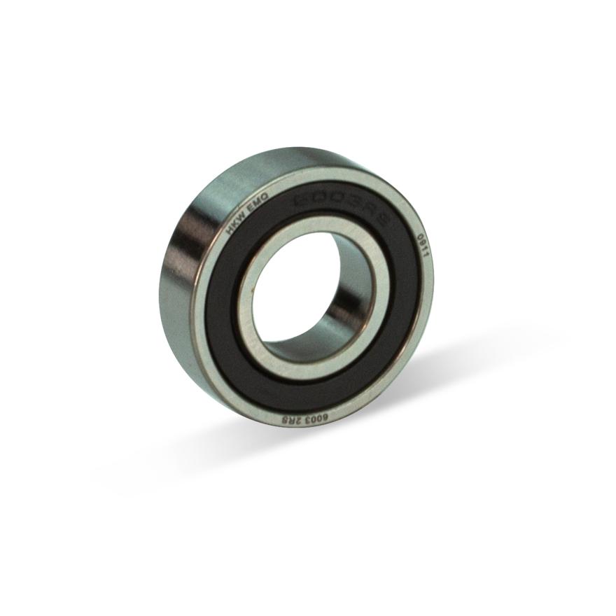 Longlife Bearing 6003 2RS