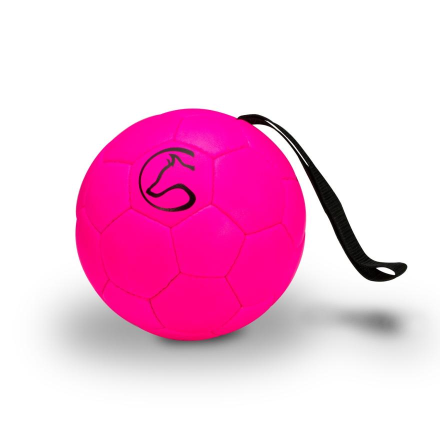 Dog Sport Training Ball 16 cm with Hand Strap