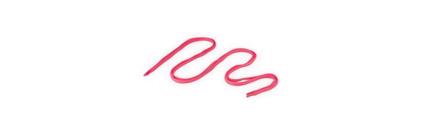 Shoelace