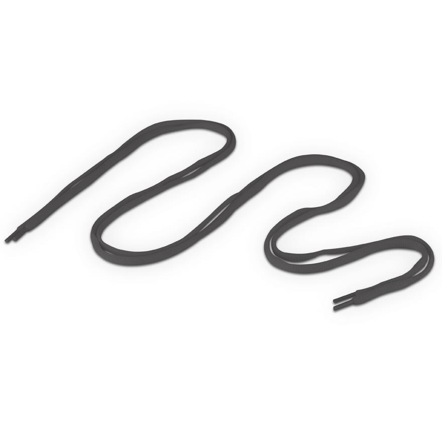 Shoelace