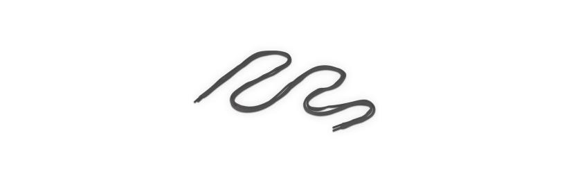 Shoelace