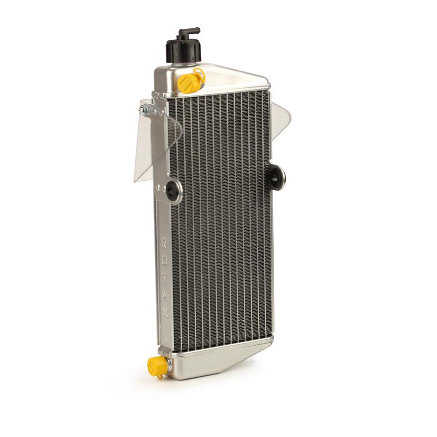 Radiator with cap assy (295928)