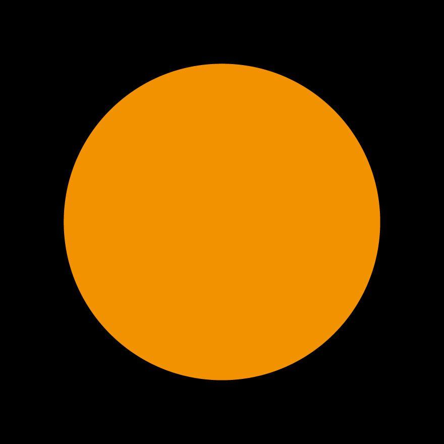 Flagge schwarz mit Orangem Punkt
