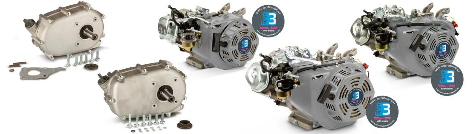 DM Motorsport 4-Takt Motoren & Kupplungen für Karts | Eigenmarke